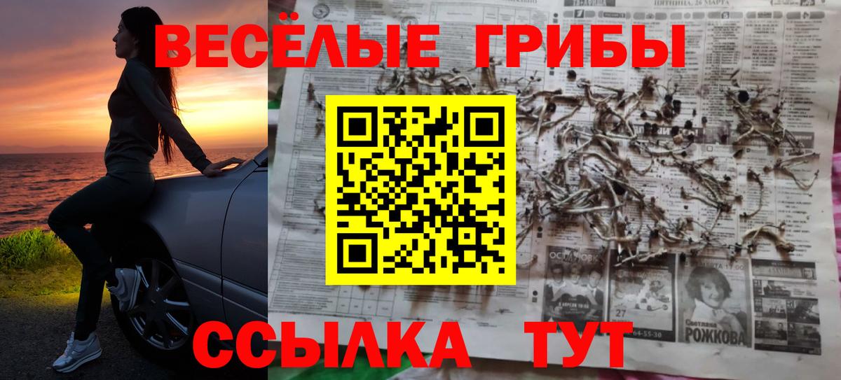 Химки  Галлюциногенные грибы мицелий  Вход с VPN 