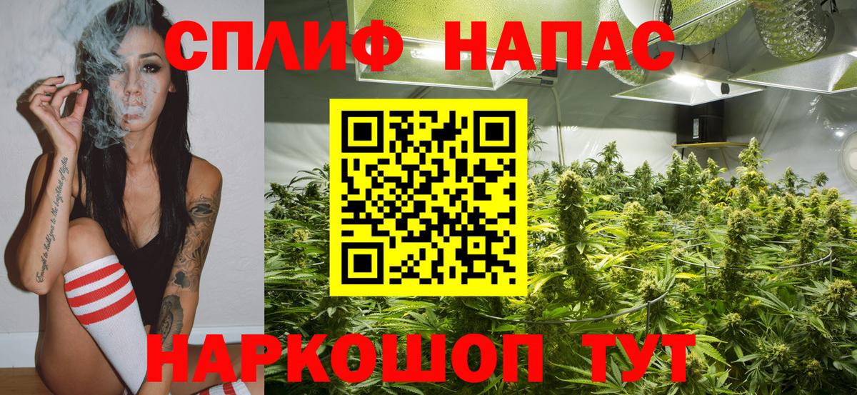 Шишки марихуана конопля  Вход с VPN  Химки  Каннабис THC 21%  Каннабис SATIVA & INDICA 